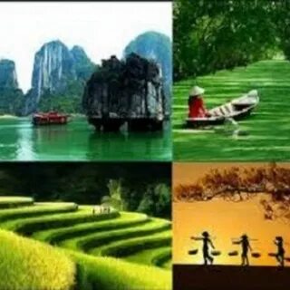 Sự Bùng Nổ Của Video Ngắn và Trí Tuệ Nhân Tạo: Vai Trò Thiết Yếu Của Đào Tạo Kỹ Năng Sáng Tạo Nội Dung